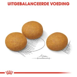 Royal Canin Maxi Dermacomfort - Hondenvoer -Honden Benodigdheden royal canin maxi dermacomfort hondenvoer 132446 1000 none
