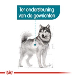 Royal Canin Maxi Joint Care - Hondenvoer 17 Royal Canin Maxi Joint Care - Hondenvoer -Honden Benodigdheden royal canin maxi joint care hondenvoer 132539 1000 none
