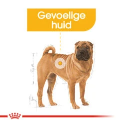Royal Canin Medium Dermacomfort - Hondenvoer -Honden Benodigdheden royal canin medium dermacomfort hondenvoer 143279 1000 none
