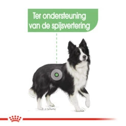 Royal Canin Medium Digestive Care - Hondenvoer -Honden Benodigdheden royal canin medium digestive care hondenvoer 132794 1000 none