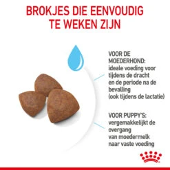 Royal Canin Medium Starter Mother & Babydog - Hondenvoer -Honden Benodigdheden royal canin medium starter mother babydog hondenvoer 206912 2000 none