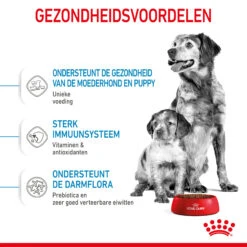 Royal Canin Medium Starter Mother & Babydog - Hondenvoer -Honden Benodigdheden royal canin medium starter mother babydog hondenvoer 206915 2000 none