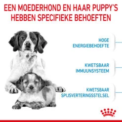 Royal Canin Medium Starter Mother & Babydog - Hondenvoer -Honden Benodigdheden royal canin medium starter mother babydog hondenvoer 206918 2000 none
