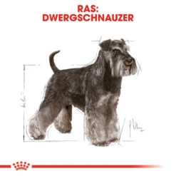 Royal Canin Mini Schnauzer Adult - Hondenvoer -Honden Benodigdheden royal canin mini schnauzer adult hondenvoer 140080 1000 none