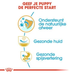 Royal Canin Pug Puppy - Hondenvoer -Honden Benodigdheden royal canin pug puppy hondenvoer 139882 1000 none