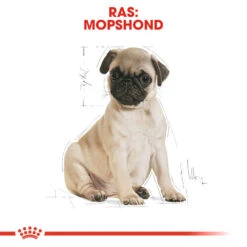 Royal Canin Pug Puppy - Hondenvoer -Honden Benodigdheden royal canin pug puppy hondenvoer 139891 1000 none