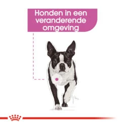 Royal Canin Relax Care Wet - Hondenvoer -Honden Benodigdheden royal canin relax care wet hondenvoer 131372 1000 none