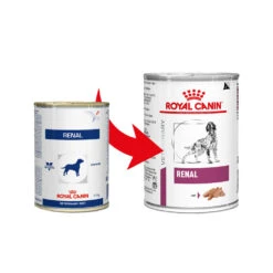 Royal Canin Renal Hond - Blik -Honden Benodigdheden royal canin renal hond 164548 1000 none