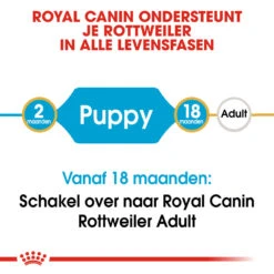 Royal Canin Rottweiler Puppy - Hondenvoer -Honden Benodigdheden royal canin rottweiler puppy hondenvoer 140008 1000 none