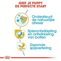 Royal Canin Rottweiler Puppy - Hondenvoer -Honden Benodigdheden royal canin rottweiler puppy hondenvoer 140026 1000 none