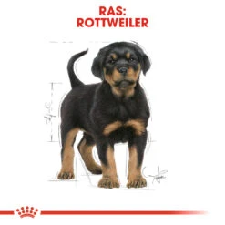 Royal Canin Rottweiler Puppy - Hondenvoer -Honden Benodigdheden royal canin rottweiler puppy hondenvoer 140035 1000 none