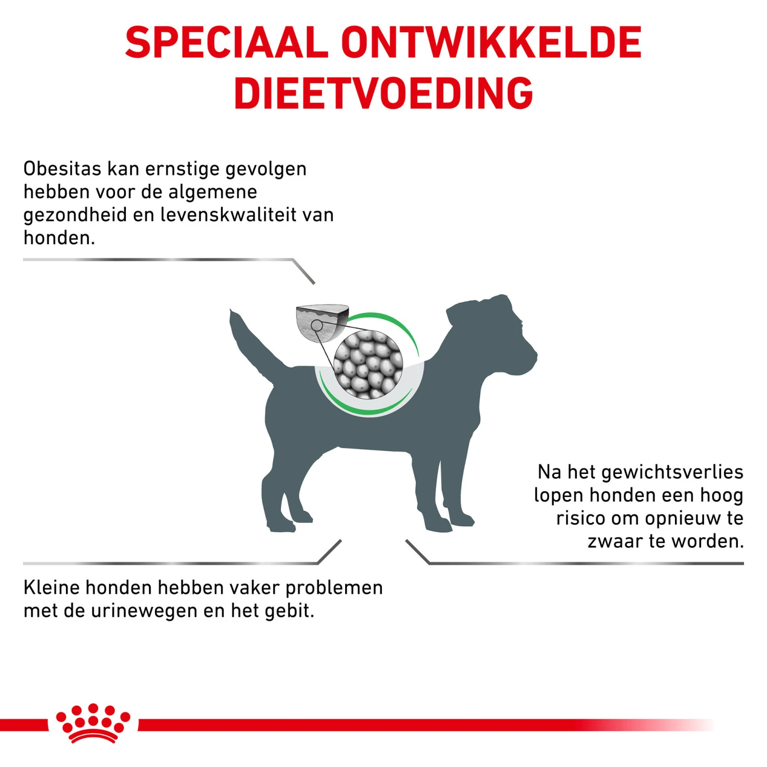 Royal Canin Satiety Kleine Hond 5 Royal Canin Satiety Kleine Hond - Afbeelding 3