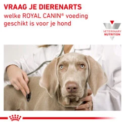 Royal Canin Satiety Kleine Hond 21 Royal Canin Satiety Kleine Hond -Honden Benodigdheden royal canin satiety kleine hond 156818 2000 none