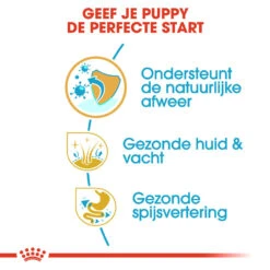Royal Canin Shih Tzu Puppy - Hondenvoer -Honden Benodigdheden royal canin shih tzu junior hondenvoer 140408 1000 none
