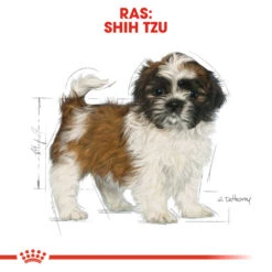 Royal Canin Shih Tzu Puppy - Hondenvoer -Honden Benodigdheden royal canin shih tzu junior hondenvoer 140417 1000 none