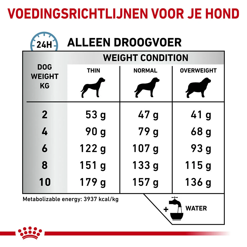 Royal Canin Skin Care Kleine Hond 9 Royal Canin Skin Care Kleine Hond - Afbeelding 7