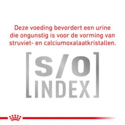 Royal Canin Skin Care Kleine Hond 14 Royal Canin Skin Care Kleine Hond -Honden Benodigdheden royal canin skin care kleine hond 153568 1000 none