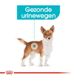 Royal Canin Urinary Care Wet - Hondenvoer 15 Royal Canin Urinary Care Wet - Hondenvoer -Honden Benodigdheden royal canin urinary care wet hondenvoer 131930 1000 none