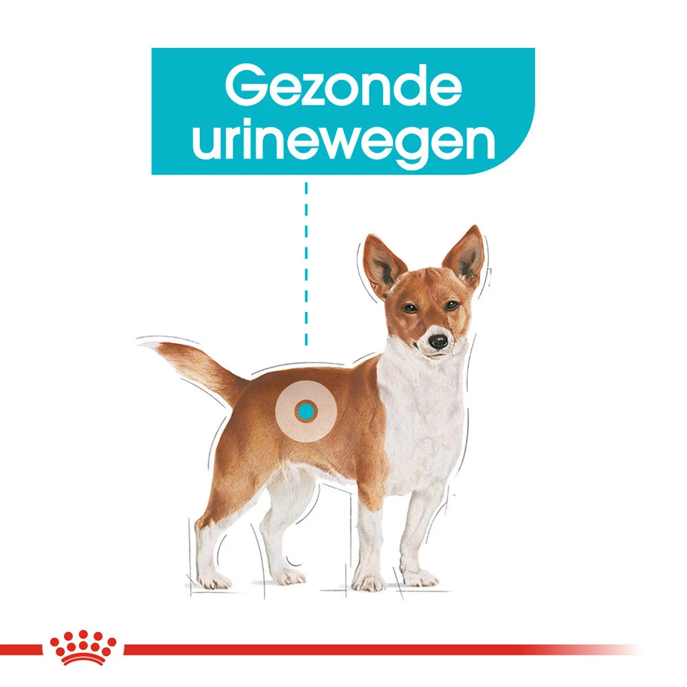 Royal Canin Urinary Care Wet - Hondenvoer 6 Royal Canin Urinary Care Wet - Hondenvoer - Afbeelding 4