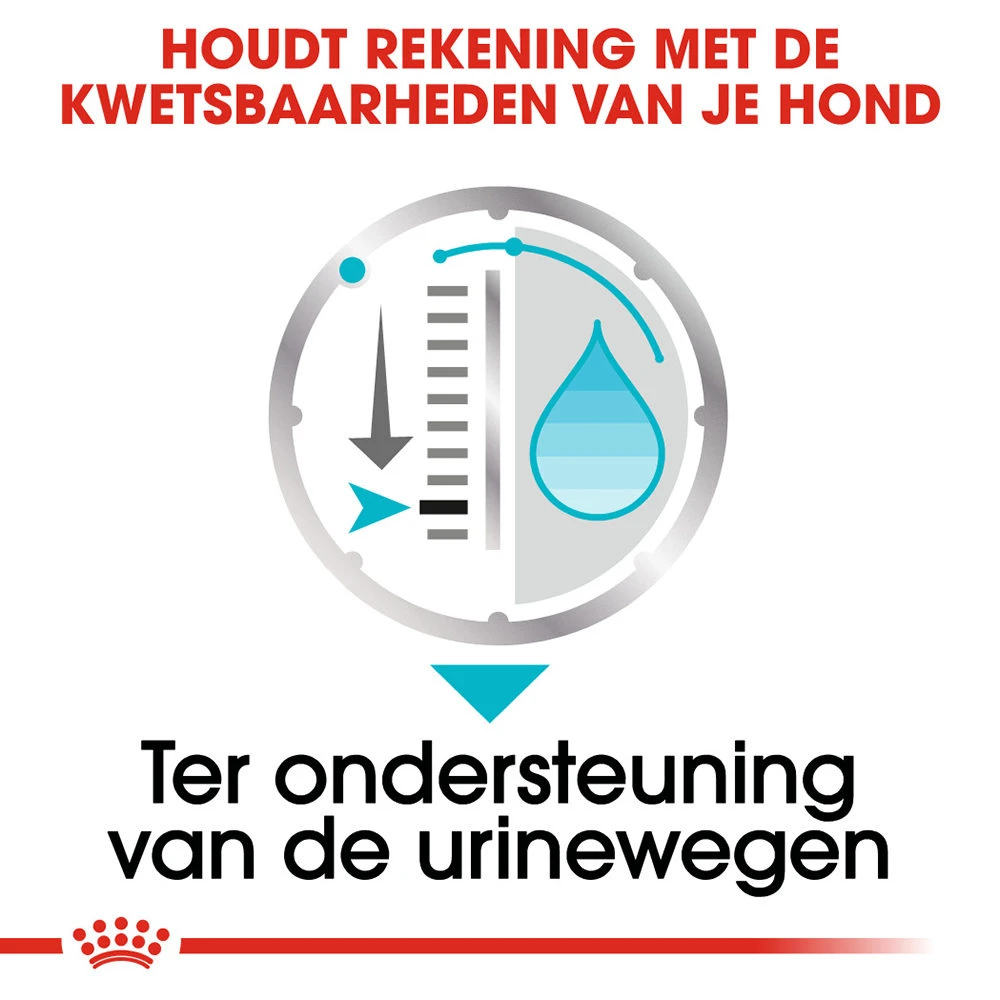 Royal Canin Urinary Care Wet - Hondenvoer 7 Royal Canin Urinary Care Wet - Hondenvoer - Afbeelding 5