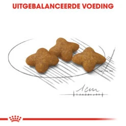 Royal Canin X-Small Sterilised - Hondenvoer 14 Royal Canin X-Small Sterilised - Hondenvoer -Honden Benodigdheden royal canin x small sterilised hondenvoer 143417 1000 none