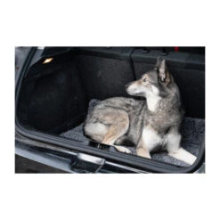 Royal Dry Doormat -Honden Benodigdheden royal dry doormat 187417 2000 none