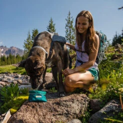 Ruffwear Flat Out Dog Collar - Alpenglow Burst -Honden Benodigdheden ruffwear flat out dog collar alpenglow burst 204812 0500 none