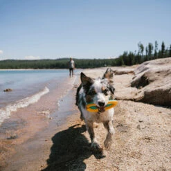 Ruffwear Hydro Plane Floating Throw Toy -Honden Benodigdheden ruffwear hydro plane floating throw toy 200816 2000 none