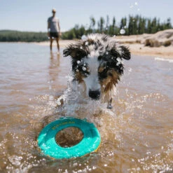Ruffwear Hydro Plane Floating Throw Toy -Honden Benodigdheden ruffwear hydro plane floating throw toy 200822 2000 none
