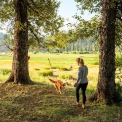 Ruffwear Knot-a-Hitch -Honden Benodigdheden ruffwear knot a hitch 124643 0500 none