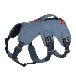 Ruffwear Webmaster Harness -Honden Benodigdheden ruffwear web master harness m slate blue 133865 2000 none