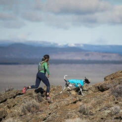 Ruffwear Wind Sprinter Jacket -Honden Benodigdheden ruffwear wind sprinter jacket 124694 0500 none