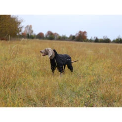 RukkaPets Protect Overall Zwart -Honden Benodigdheden rukkapets protect overall zwart 216401 2000 none