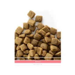 SANIMED Adult Dog -Honden Benodigdheden sanimed adult dog 159188 1500 none