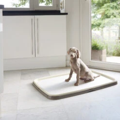 Savic Puppy Trainer + Pads -Honden Benodigdheden savic puppy trainer pads 163498 2000 none