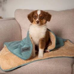 Scruffs Cosy Blanket -Honden Benodigdheden scruffs cosy blanket 221482 1000 none