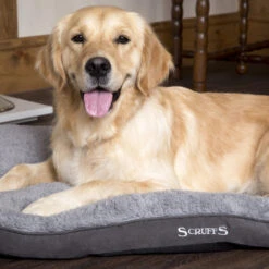 Boneguard Rawhide Bones -Honden Benodigdheden scruffs cosy mattress 209363 1500 none