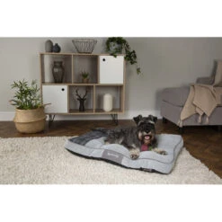 Scruffs Highland Matras -Honden Benodigdheden scruffs highland matras 197465 0500 none
