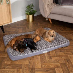 Scruffs Wilton Mattress -Honden Benodigdheden scruffs wilton mattress 209681 1000 none