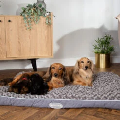 Scruffs Wilton Mattress -Honden Benodigdheden scruffs wilton mattress 209684 1000 none