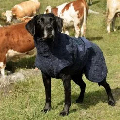 Siccaro WetDog SupremePro 2.0 -Honden Benodigdheden siccaro wetdog supremepro 190159 1000 none