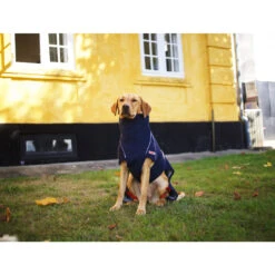 Siccaro WetDog SupremePro 2.0 -Honden Benodigdheden siccaro wetdog supremepro 20 216994 2000 none