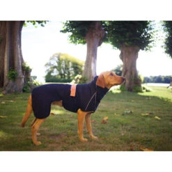 Siccaro WetDog SupremePro 2.0 -Honden Benodigdheden siccaro wetdog supremepro 20 216995 2000 none