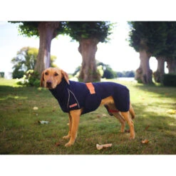 Siccaro WetDog SupremePro 2.0 -Honden Benodigdheden siccaro wetdog supremepro 20 216996 2000 none