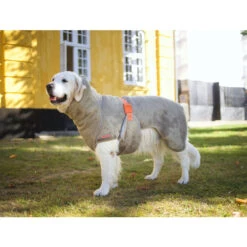 Siccaro WetDog SupremePro 2.0 -Honden Benodigdheden siccaro wetdog supremepro 20 216997 2000 none