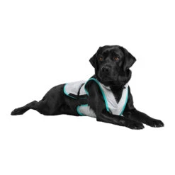 Suitical DRY Cooling Vest -Honden Benodigdheden suitical dry cooling vest 149879 2000 none