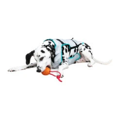 Suitical DRY Cooling Vest -Honden Benodigdheden suitical dry cooling vest 149882 2000 none