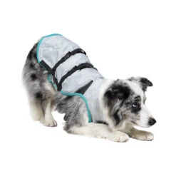 Suitical DRY Cooling Vest -Honden Benodigdheden suitical dry cooling vest 149888 2000 none