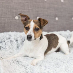 Trixie Bekleding-Beschermdeken Harvey 11 Trixie Bekleding-Beschermdeken Harvey -Honden Benodigdheden trixie bekleding beschermdeken harvey 206315 2000 none