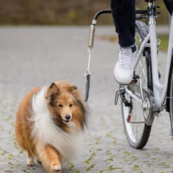 Trixie Fiets-Set U-Vorm -Honden Benodigdheden trixie fiets set u vorm 186019 1000 none